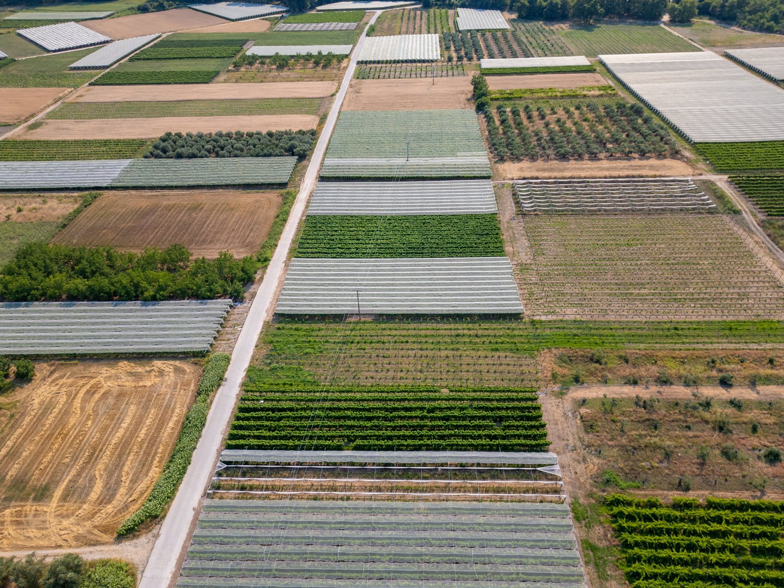 Crop Agriculture